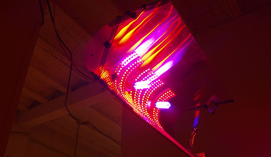 Exhibition: Immersion: Pigment &Light by Guillermo Bellod